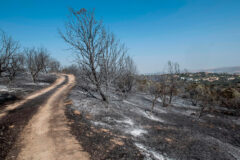 Un incendio quema 13.000 hectáreas a 100 km al norte de Madrid