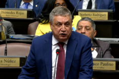 PLD anuncia que votará en contra de la reforma al Código Penal por condenar a “las madres pobres”