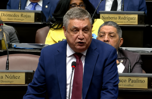PLD anuncia que votará en contra de la reforma al Código Penal por condenar a “las madres pobres”