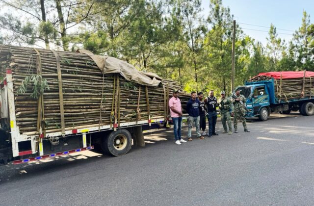 Incautan cargamento de madera sin documentación legal en Santiago