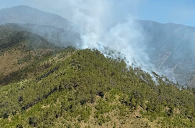 Controlan incendio forestal en el Valle del Tetero tras intervención de las autoridades