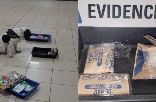 La Aduana cubana decomisa droga oculta en cajas de alimentos en el aeropuerto de La Habana