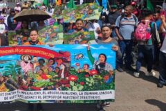 Imagen relacionada: alianza campesina indigena honduras denuncia