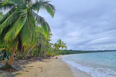 Más allá de la postal: Las playas de Centroamérica y el Caribe que conquistan al mundo - Infobae
