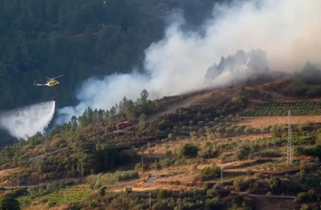 Los dos grandes incendios forestales del centro de España afectan a 45.000 hectáreas