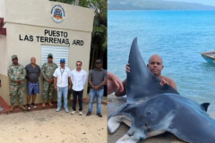 Arrestan a hombre involucrado en la pesca de una mantarraya en Las Terrenas, informa Medio Ambiente