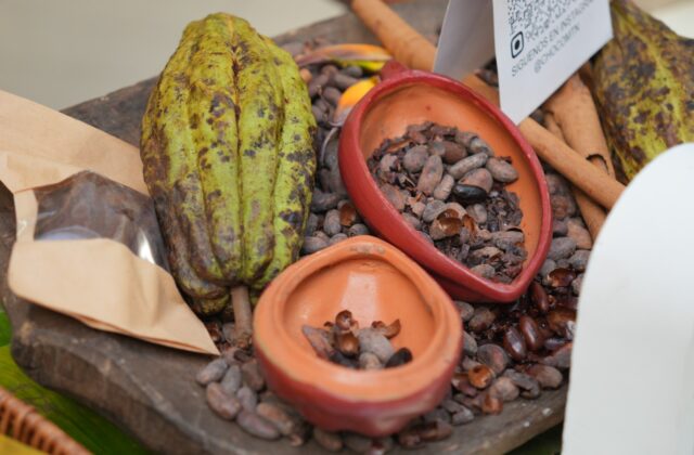 Cacao dominicano mueve US$669 millones en exportaciones y tendrá protagonismo en el 6to Festival de Chocolate
