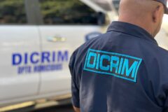 PN investiga homicidio de joven en Los Salados vinculado a pandillas