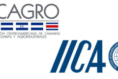 La Federación de Cámaras del Agro de Centroamérica y República Dominicana pide una respuesta regional ante El Niño - Infobae
