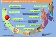 Imagen relacionada: yailin