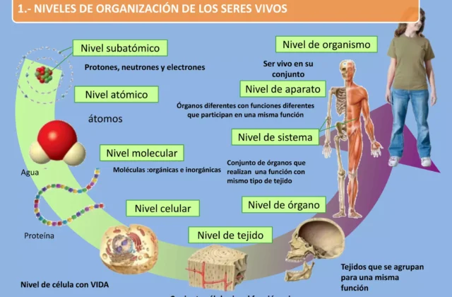 Imagen relacionada: yailin