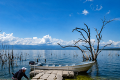 Lagos y lagunas dominicanas: belleza, biodiversidad y conservación