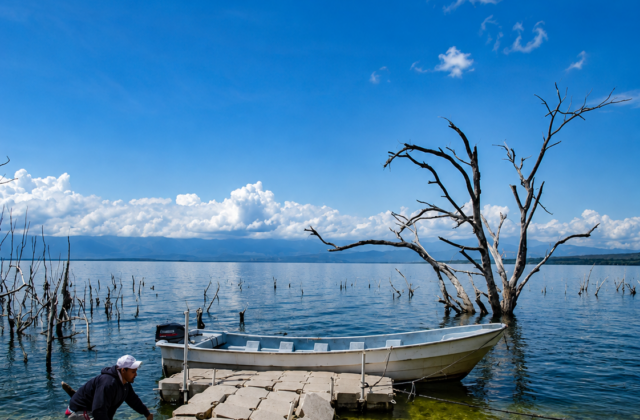 Lagos y lagunas dominicanas: belleza, biodiversidad y conservación