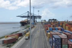 RD enfrenta una brecha arancelaria de 2.5 puntos para exportar a EE. UU.