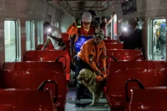 Principal aeropuerto de Venezuela realiza simulacro para reapertura tras sismos