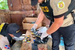 DNCD arresta a 44 personas y ocupa más de 13 kilos de drogas en SDE