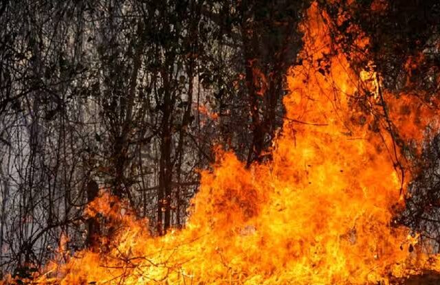 Imagen relacionada: departamento colombiano tolima declara calamidad