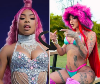 Imagen relacionada: yailin la mas viral