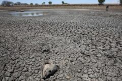 Emiten alerta roja en El Salvador para enfrentar la sequía provocada por El Niño