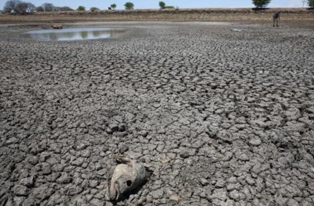 Emiten alerta roja en El Salvador para enfrentar la sequía provocada por El Niño