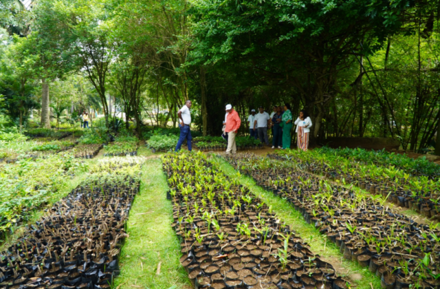 Digecac realizará primer Festival de Plantas 2026