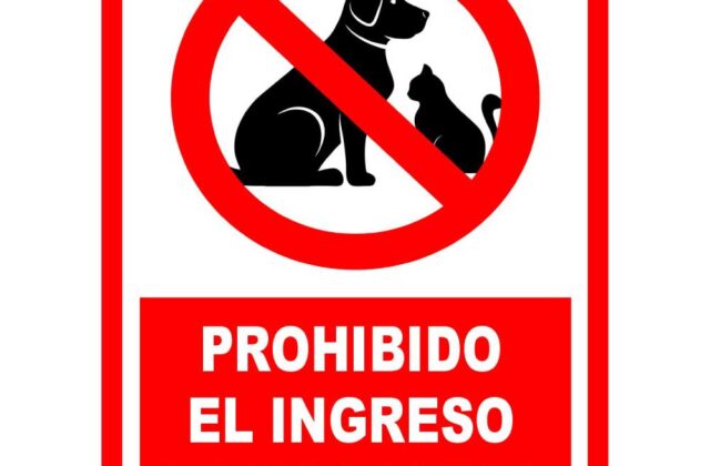 Prohíben a jubilada rusa mantener en su casa a 30 mascotas, incluyendo boa, zorro y caimán