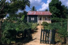 La familia Casas repite tradición en la República Dominicana - El Norte de Castilla