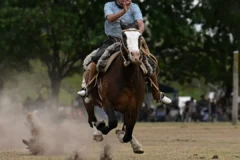 Muere un jinete de 27 años tras caerse de su caballo durante una prueba en Brasil