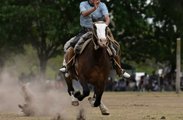 Muere un jinete de 27 años tras caerse de su caballo durante una prueba en Brasil