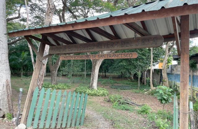 MP paraliza construcciones en límites del Parque Ecológico Rivera del Río Jaya