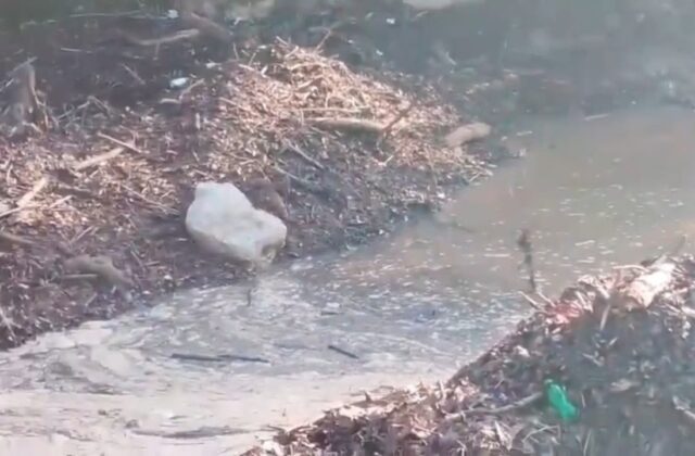 Comunitarios reclaman construcción de puente y limpieza entre Palo Blanco y Santa María