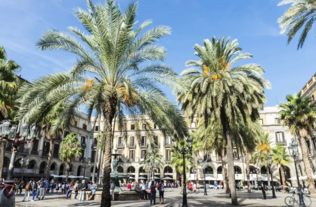 #Mundo:¿Hay alguna española? Las ciudades con más delitos en Europa #FVDigital