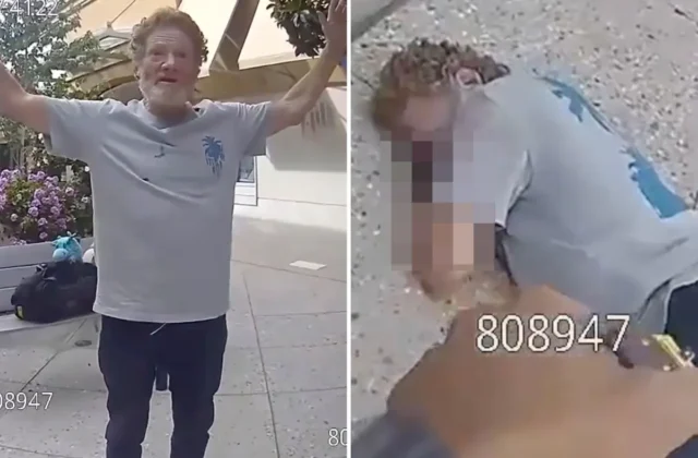 Hombre sufre fractura de vértebra tras ser electrocutado con Taser en centro comercial de Palo Alto