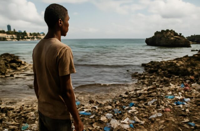 Estudio advierte sobre deterioro irreversible de ecosistemas marinos dominicanos al 2036 - diariolibre.com
