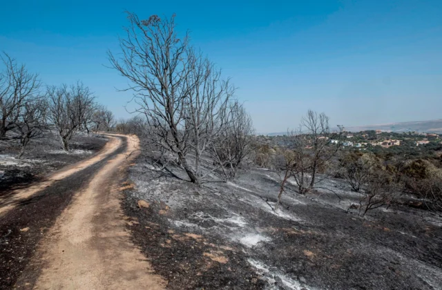 Un incendio quema 13.000 hectáreas a 100 km al norte de Madrid