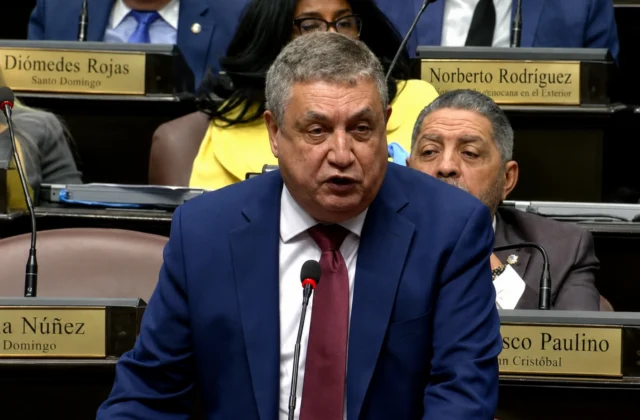 PLD anuncia que votará en contra de la reforma al Código Penal por condenar a “las madres pobres”