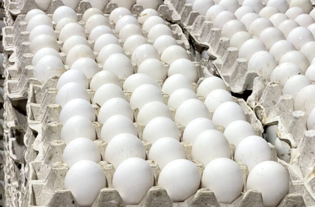 RD vuelve a colocar huevos en el mercado cubano tras reactivar sus exportaciones