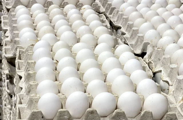 RD vuelve a colocar huevos en el mercado cubano tras reactivar sus exportaciones