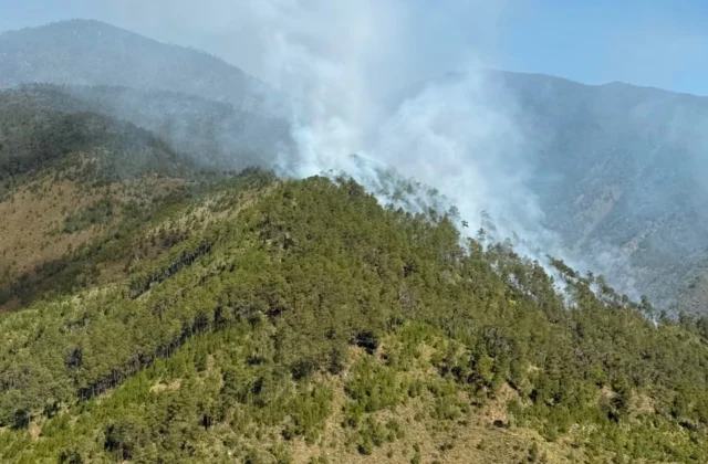 Controlan incendio forestal en el Valle del Tetero tras intervención de las autoridades