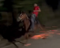 Imagen relacionada: denuncian carreras clandestinas caballos bonao