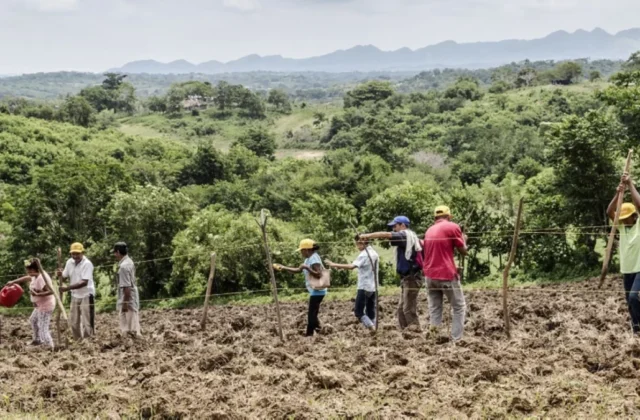Imagen relacionada: paises america acuerdan cooperacion responder
