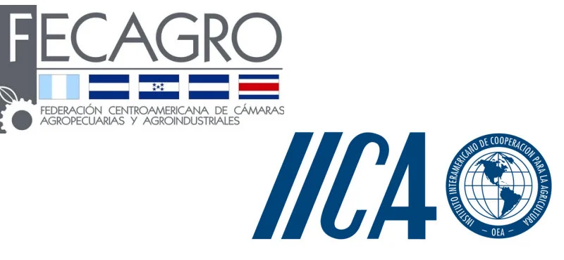 La Federación de Cámaras del Agro de Centroamérica y República Dominicana pide una respuesta regional ante El Niño - Infobae