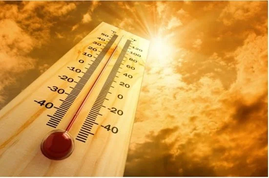 Desde Japón hasta RD, la ola de calor extrema que golpea a varios continentes por el cambio climático