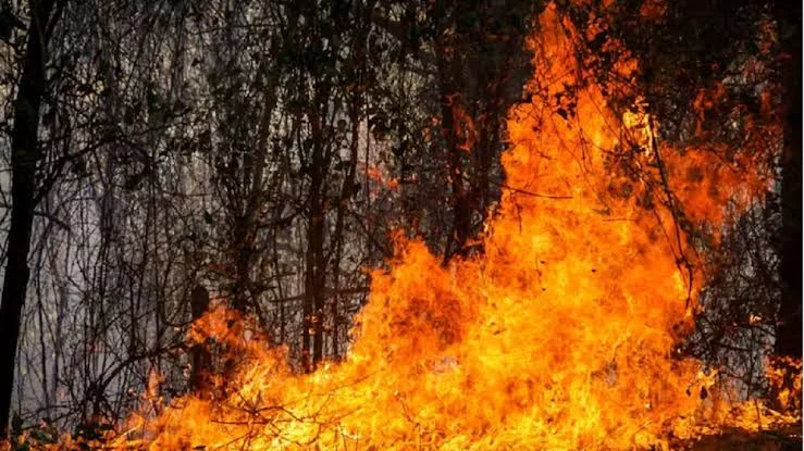 Imagen relacionada: departamento colombiano tolima declara calamidad