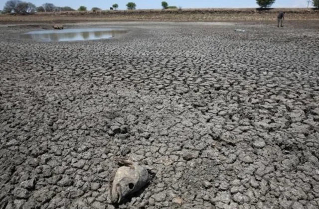 Emiten alerta roja en El Salvador para enfrentar la sequía provocada por El Niño