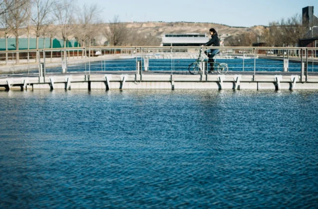 Solo un 14 % de las aguas en Inglaterra están «en buena salud ecológica»