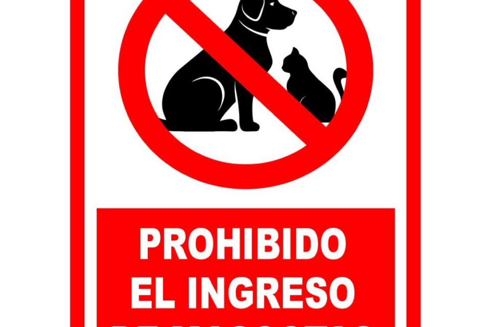 Prohíben a jubilada rusa mantener en su casa a 30 mascotas, incluyendo boa, zorro y caimán