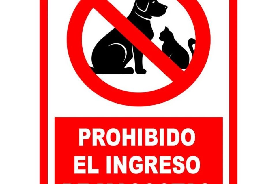 Prohíben a jubilada rusa mantener en su casa a 30 mascotas, incluyendo boa, zorro y caimán