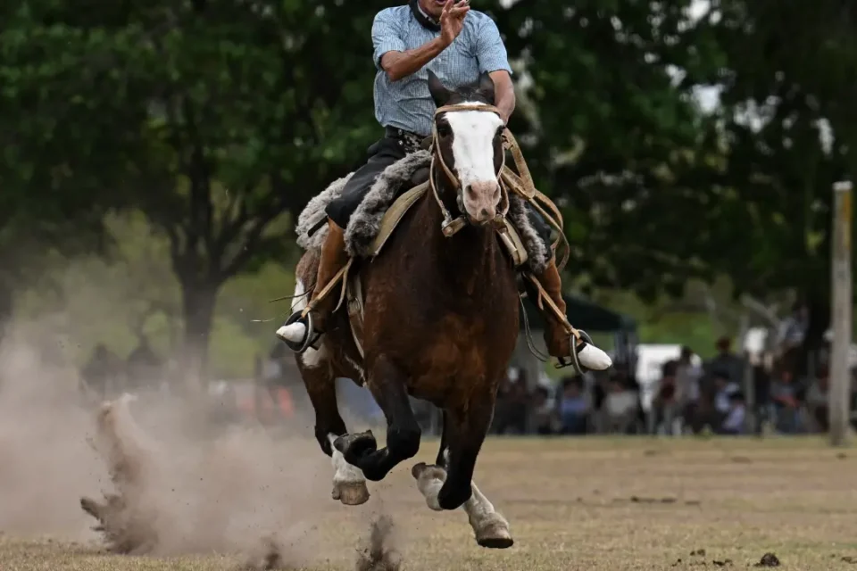 Muere un jinete de 27 años tras caerse de su caballo durante una prueba en Brasil