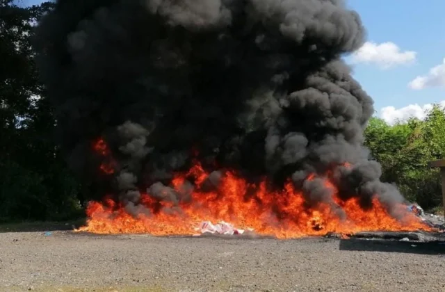 Destruyen más de 2.3 toneladas de cocaína y marihuana